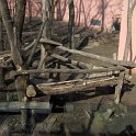 allatpark_nyh_2010